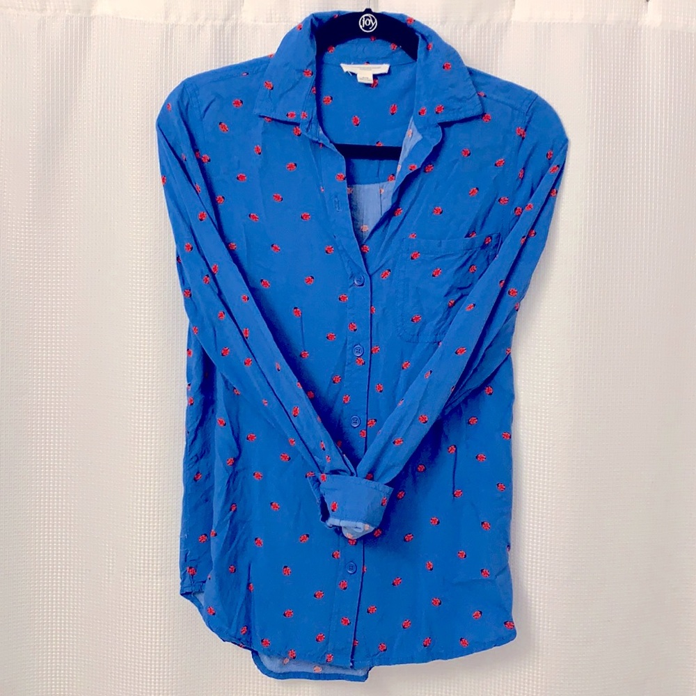 Blue Long Sleeved Blouse
